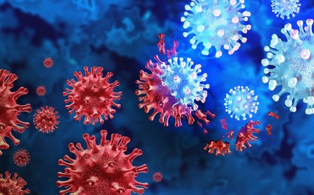 demodemo demodema odemo demod emodemodemo demodemo