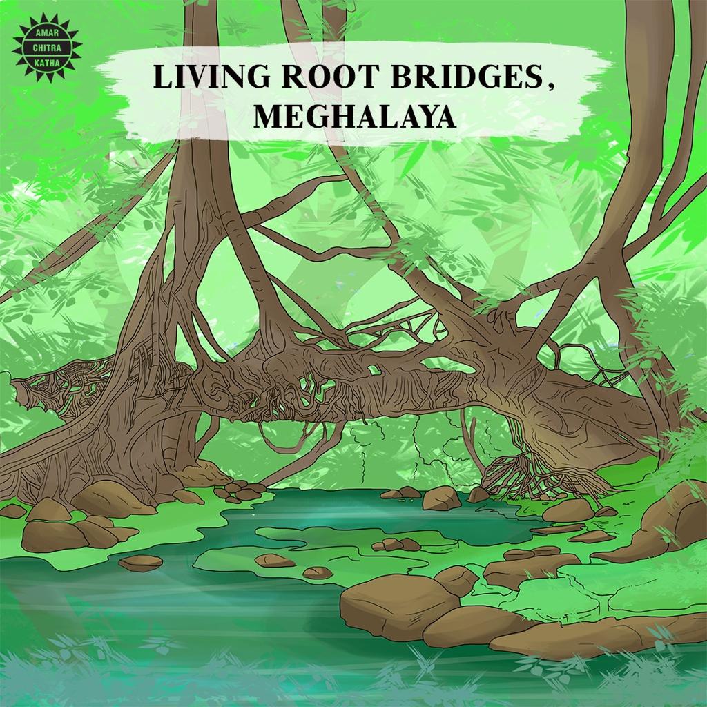 Discover the Double Decker Living Root Bridge in Meghalaya